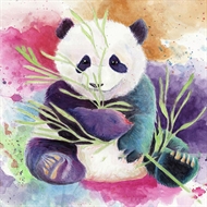Panda | Heldækkende