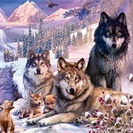 Smukke ulve i flok | Heldækkende